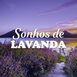 Sonhos De Lavanda