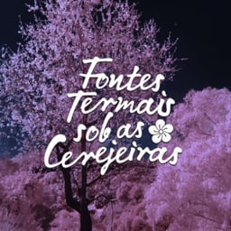 Fontes Termais sob as Cerejeiras