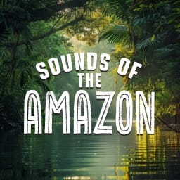 Sounds of the Amazon