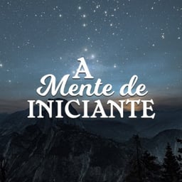 A Mente De Iniciante