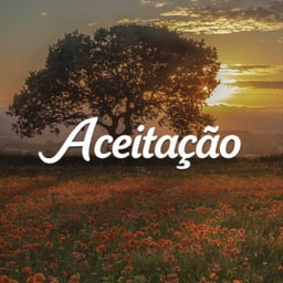 Aceitação