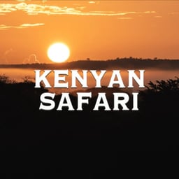 Kenyan Safari