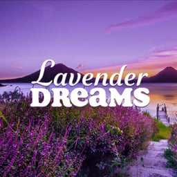 Lavender Dreams