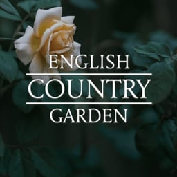 English Country Garden