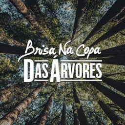 Brisa Da Copa Das Árvores