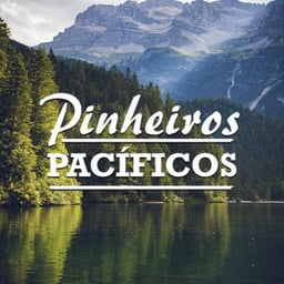 Pinheiros Pacíficos