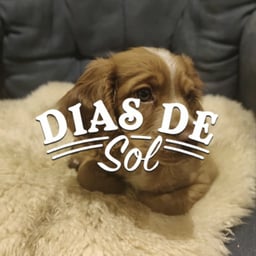 Dias De Sol