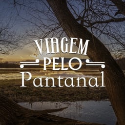 Viagem Pelo Pantanal