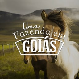 Uma Fazenda Em Goiás