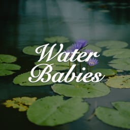 The Water Babies