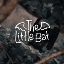 The Little Bat Who Wouldn’t Go To Bed