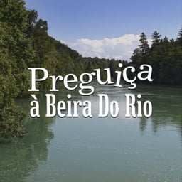 Preguiça A Beira Do Rio