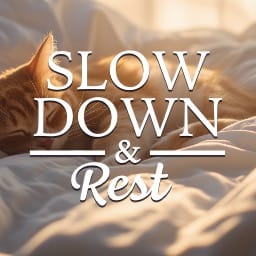 Slow Down and Rest