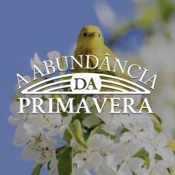 A Abundância Da Primavera