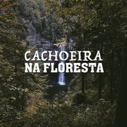 Cachoeira da Floresta