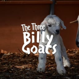 The Three Billy Goats