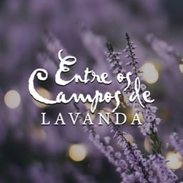 Entre Os Campos De Lavanda