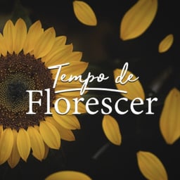 Tempo De Florescer