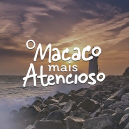 O Macaco Mais Atencioso