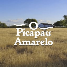 O Picapau Amarelo