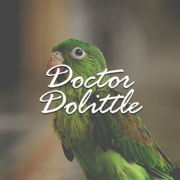 The Story of Dr Dolittle