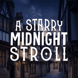 A Starry Midnight Stroll 