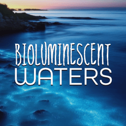 Bioluminescent Waters