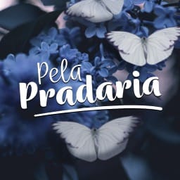 Pela Pradaria