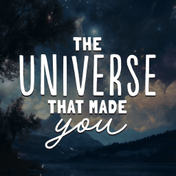 The Universe That Made You