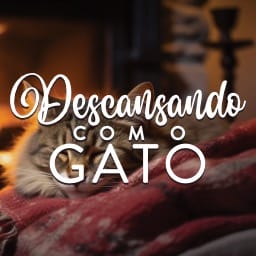 Descansando com o Gato