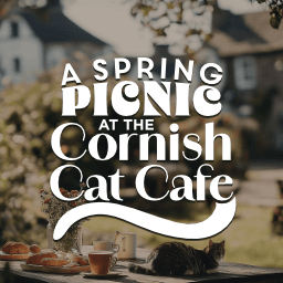 A Spring Picnic at the Cornish Cat Cafe