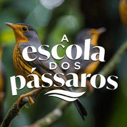 A Escola dos Pássaros